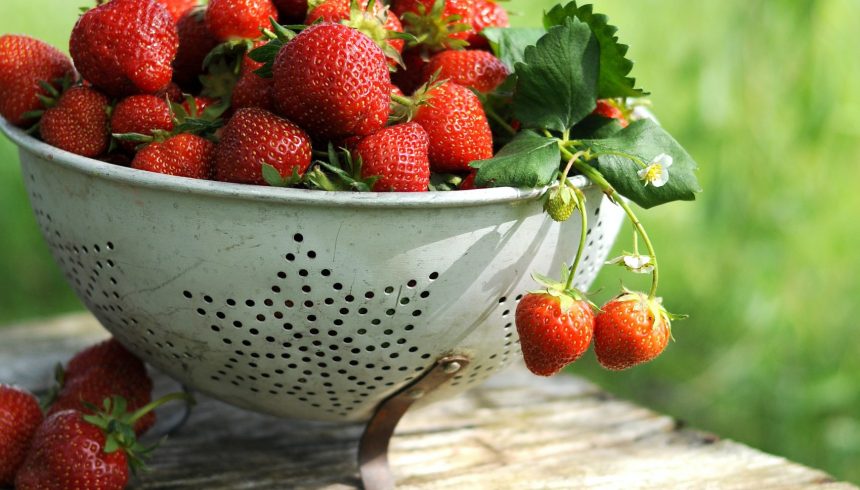 Longer Lasting Strawberries